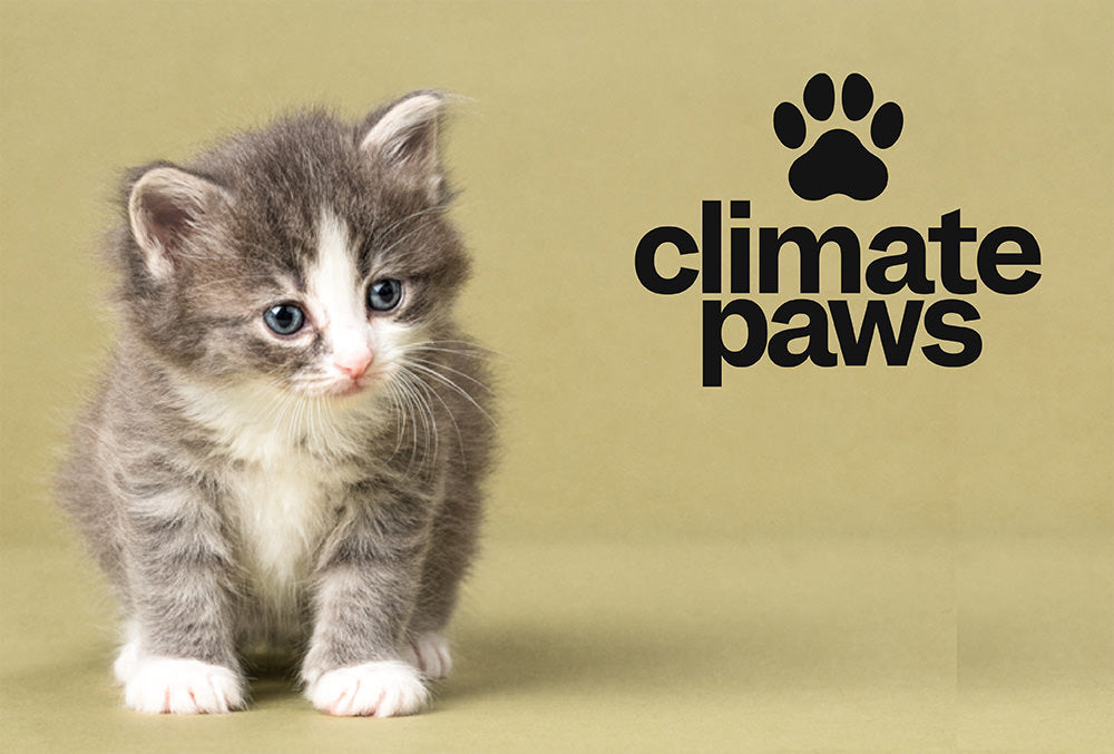 Average Cat Carbon Pawprint <6kg