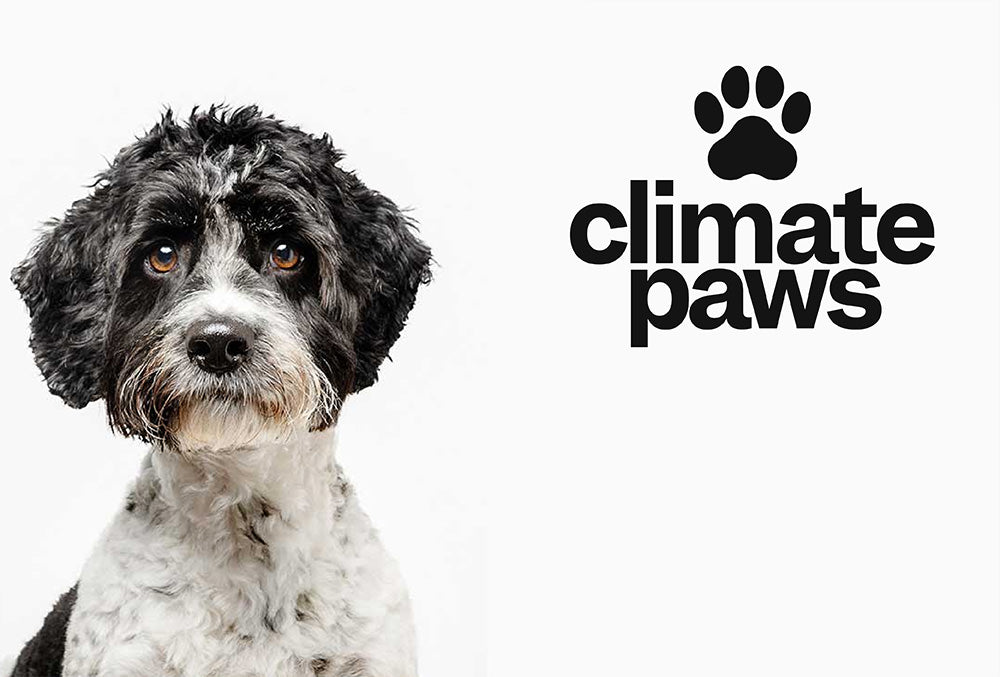 Large Dog Carbon Pawprint >20kg