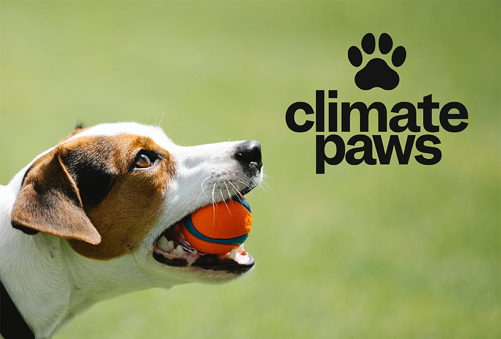 Average Dog Carbon Pawprint <20kg